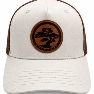 THINK POSITIVE STAMBOOM CAP Braun